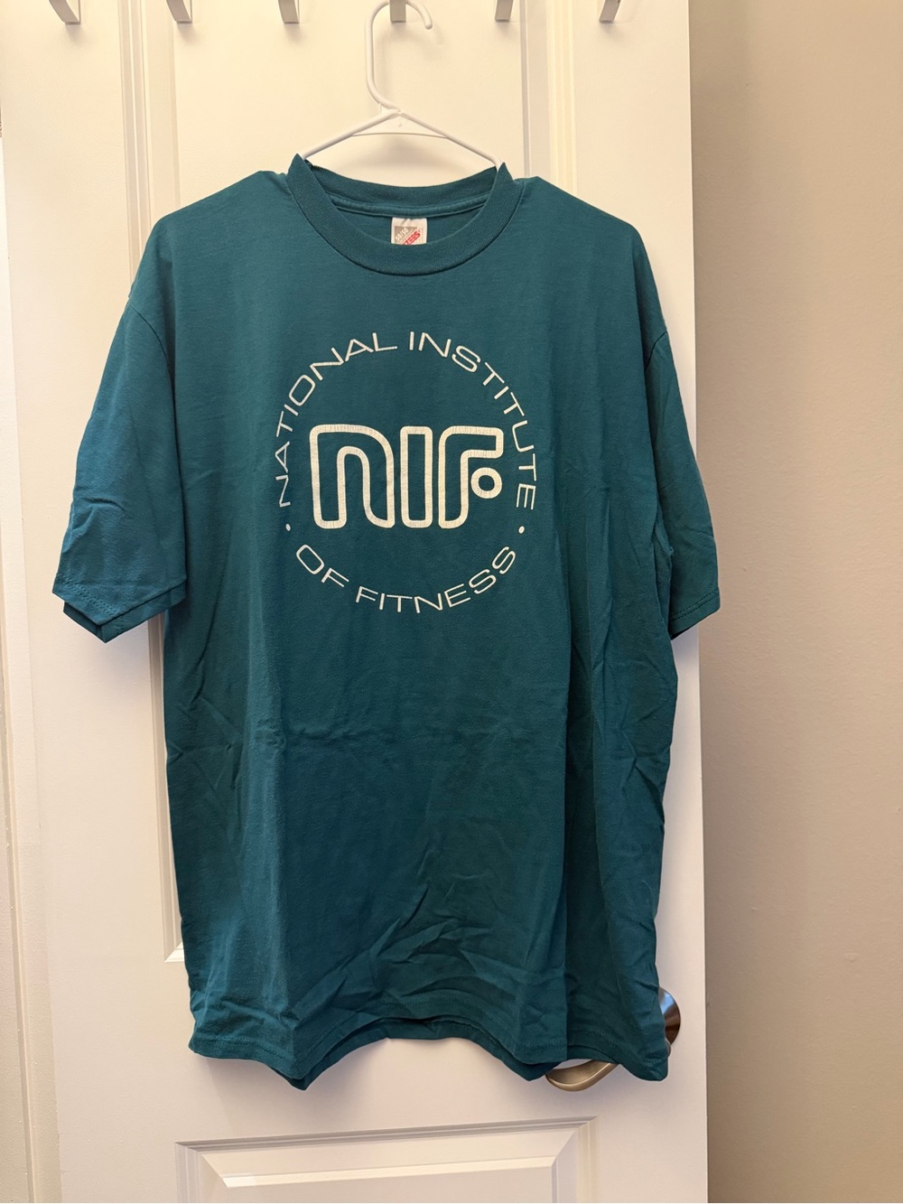 Jerzees Teal National Institute of Fitness Graphic Tee